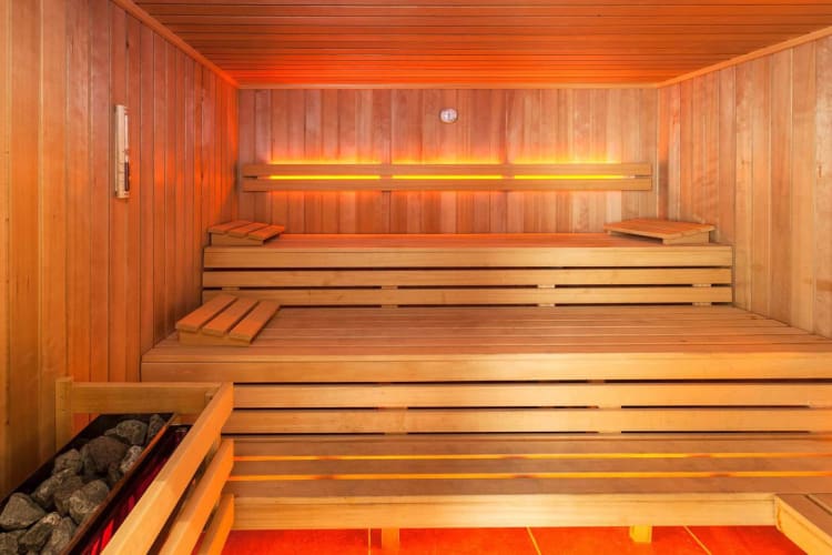 Spa sauna